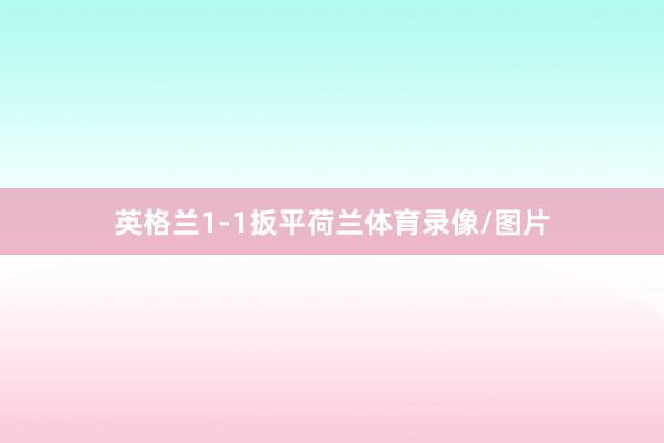 英格兰1-1扳平荷兰体育录像/图片