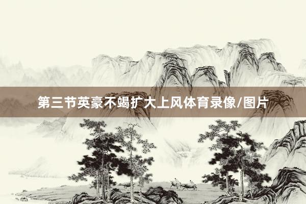 第三节英豪不竭扩大上风体育录像/图片