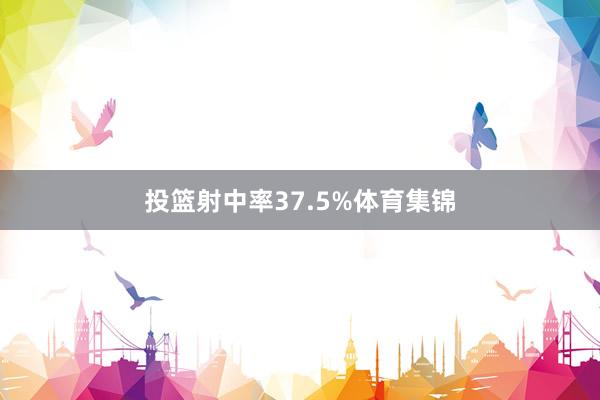 投篮射中率37.5%体育集锦