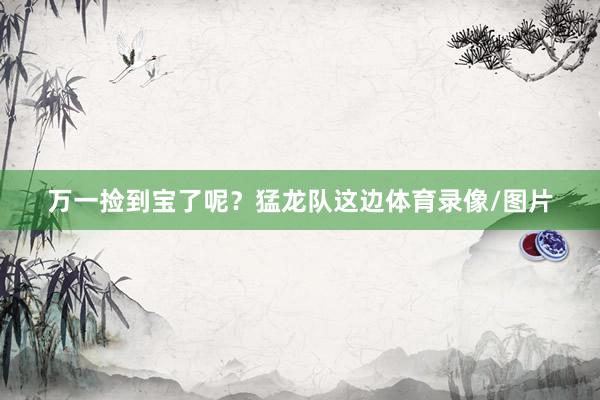 万一捡到宝了呢？猛龙队这边体育录像/图片