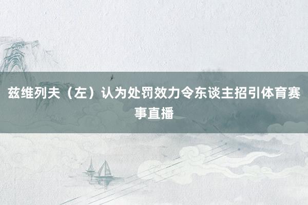 兹维列夫（左）认为处罚效力令东谈主招引体育赛事直播