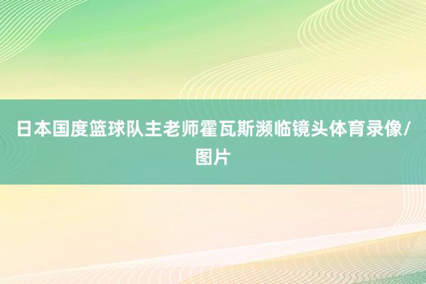 日本国度篮球队主老师霍瓦斯濒临镜头体育录像/图片