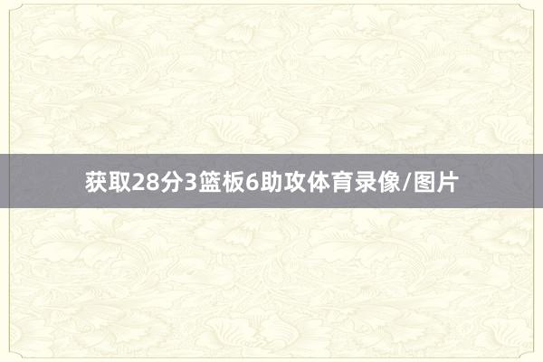 获取28分3篮板6助攻体育录像/图片