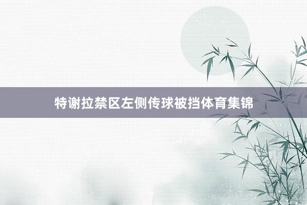 特谢拉禁区左侧传球被挡体育集锦