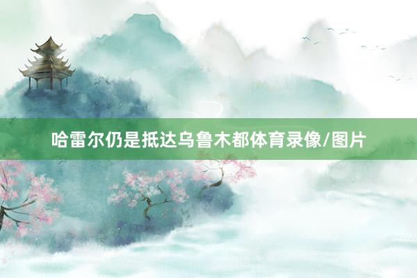 哈雷尔仍是抵达乌鲁木都体育录像/图片