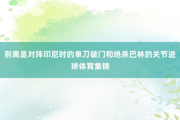 别离是对阵印尼时的单刀破门和绝杀巴林的关节进球体育集锦