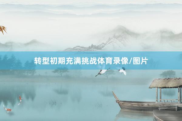 转型初期充满挑战体育录像/图片