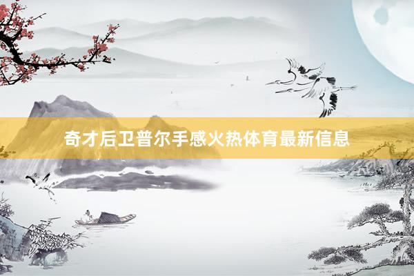 奇才后卫普尔手感火热体育最新信息