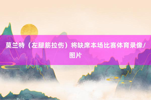 莫兰特（左腿筋拉伤）将缺席本场比赛体育录像/图片