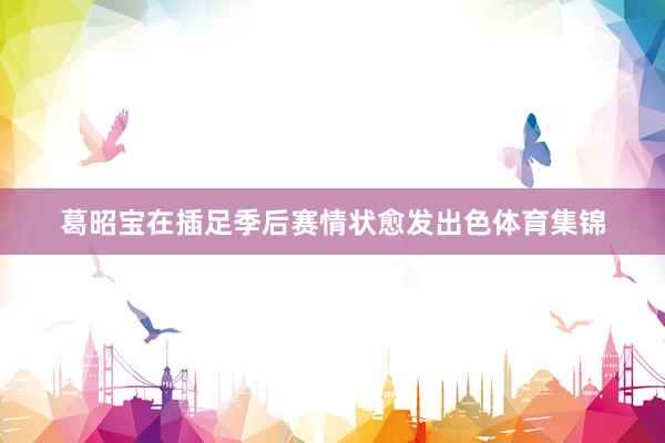 葛昭宝在插足季后赛情状愈发出色体育集锦