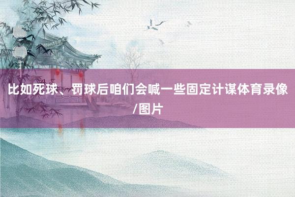 比如死球、罚球后咱们会喊一些固定计谋体育录像/图片