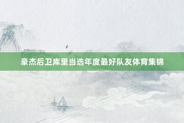 豪杰后卫库里当选年度最好队友体育集锦