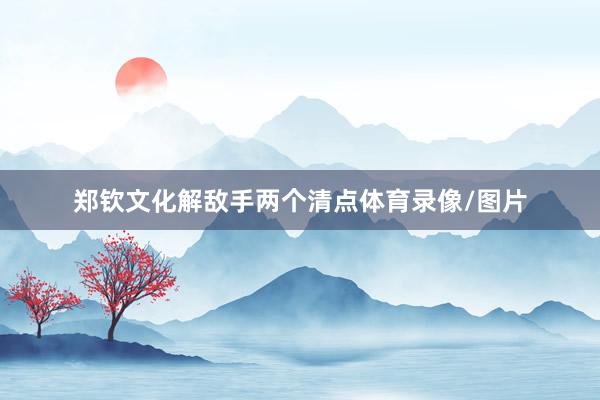 郑钦文化解敌手两个清点体育录像/图片