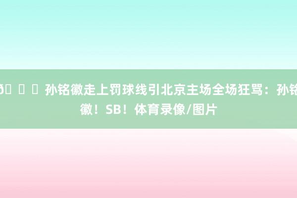 👀孙铭徽走上罚球线引北京主场全场狂骂：孙铭徽！SB！体育录像/图片