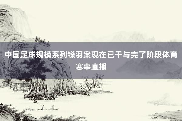 中国足球规模系列铩羽案现在已干与完了阶段体育赛事直播