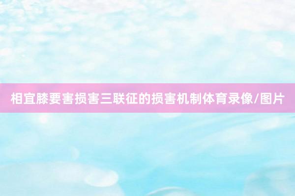 相宜膝要害损害三联征的损害机制体育录像/图片