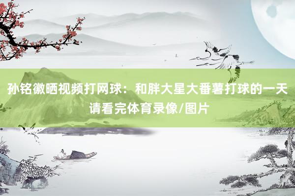 孙铭徽晒视频打网球：和胖大星大番薯打球的一天 请看完体育录像/图片