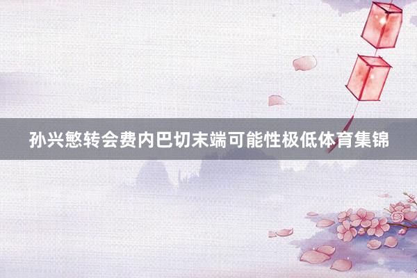 孙兴慜转会费内巴切末端可能性极低体育集锦