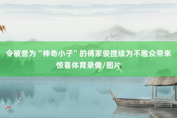 令被誉为“神奇小子”的傅家俊捏续为不雅众带来惊喜体育录像/图片