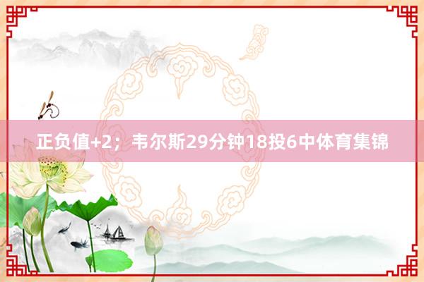 正负值+2；韦尔斯29分钟18投6中体育集锦
