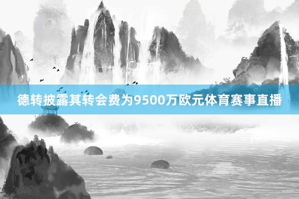 德转披露其转会费为9500万欧元体育赛事直播