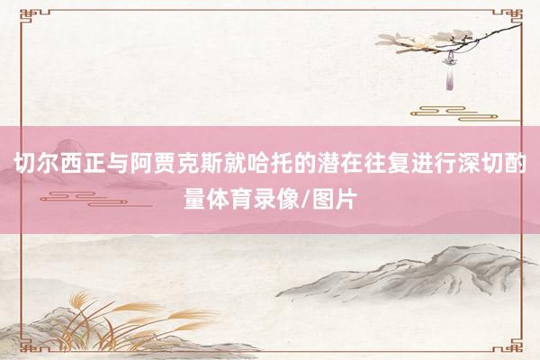 切尔西正与阿贾克斯就哈托的潜在往复进行深切酌量体育录像/图片