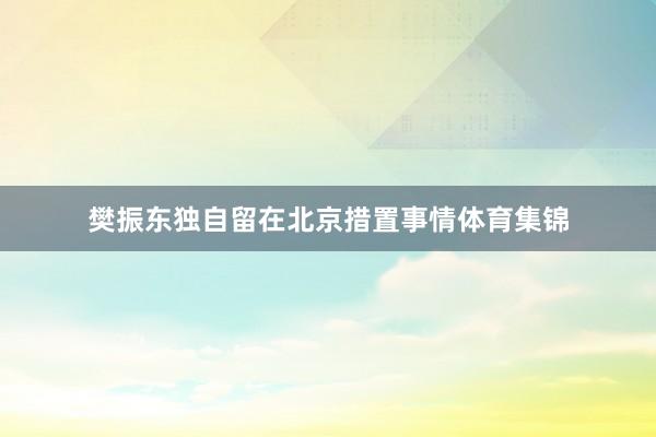 樊振东独自留在北京措置事情体育集锦