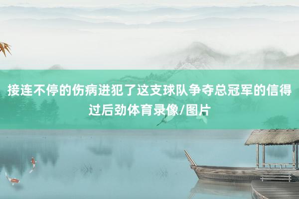 接连不停的伤病进犯了这支球队争夺总冠军的信得过后劲体育录像/图片
