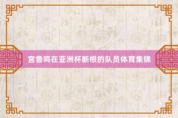 宫鲁鸣在亚洲杯断根的队员体育集锦