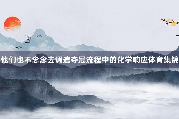 他们也不念念去调遣夺冠流程中的化学响应体育集锦