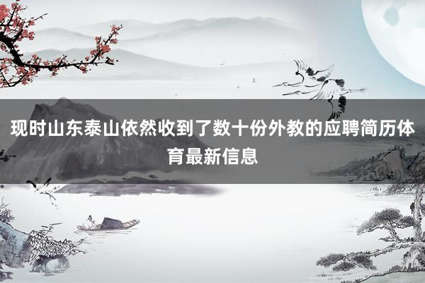 现时山东泰山依然收到了数十份外教的应聘简历体育最新信息