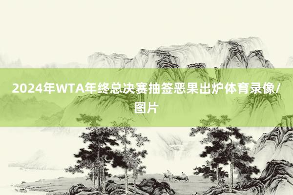 2024年WTA年终总决赛抽签恶果出炉体育录像/图片
