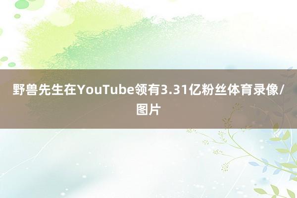 野兽先生在YouTube领有3.31亿粉丝体育录像/图片