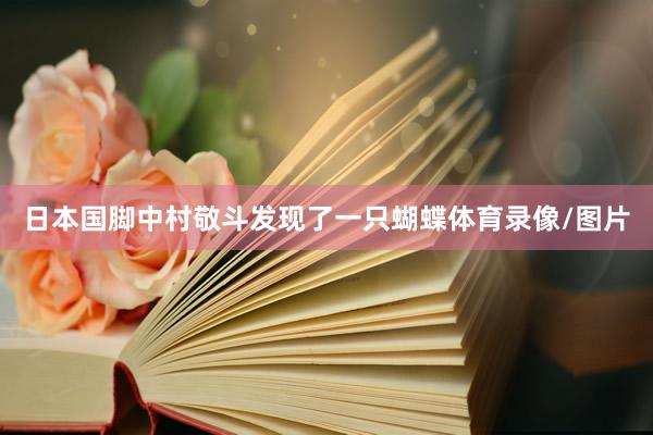 日本国脚中村敬斗发现了一只蝴蝶体育录像/图片
