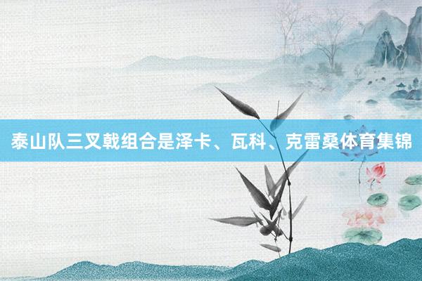 泰山队三叉戟组合是泽卡、瓦科、克雷桑体育集锦