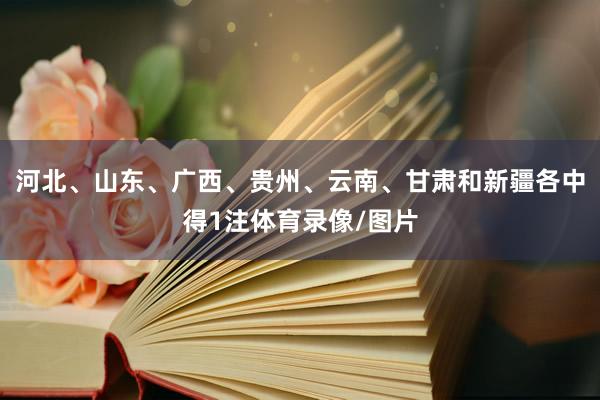 河北、山东、广西、贵州、云南、甘肃和新疆各中得1注体育录像/图片