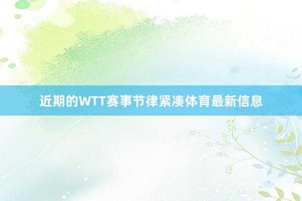 近期的WTT赛事节律紧凑体育最新信息