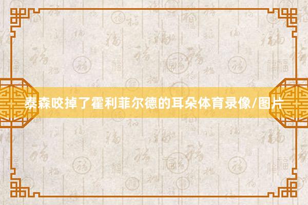 泰森咬掉了霍利菲尔德的耳朵体育录像/图片