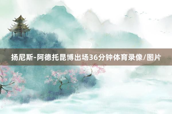 扬尼斯-阿德托昆博出场36分钟体育录像/图片