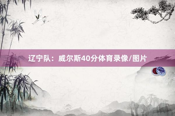 辽宁队：威尔斯40分体育录像/图片