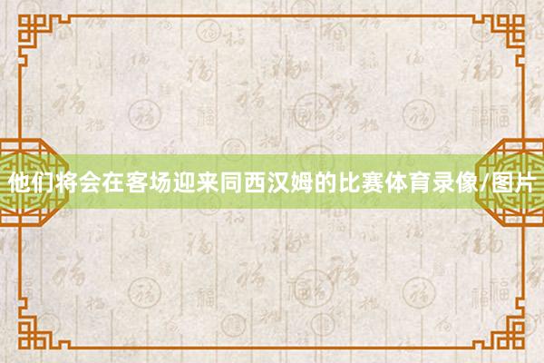 他们将会在客场迎来同西汉姆的比赛体育录像/图片