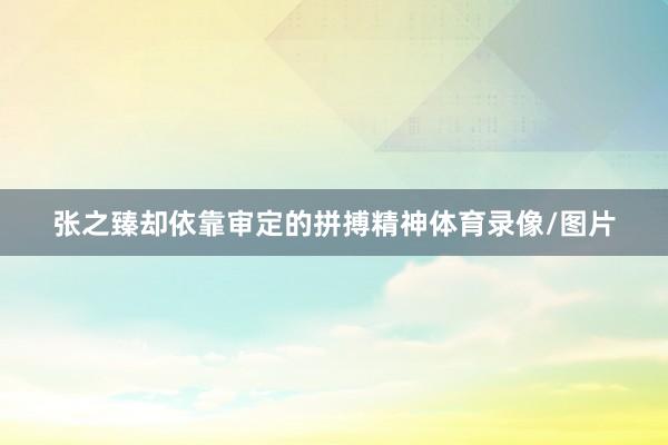 张之臻却依靠审定的拼搏精神体育录像/图片