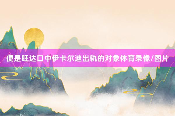 便是旺达口中伊卡尔迪出轨的对象体育录像/图片