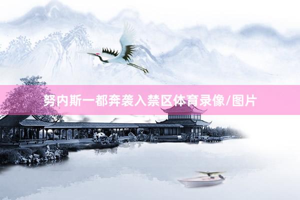 努内斯一都奔袭入禁区体育录像/图片