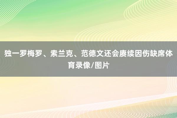 独一罗梅罗、索兰克、范德文还会赓续因伤缺席体育录像/图片
