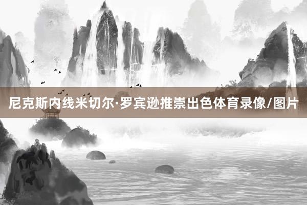 尼克斯内线米切尔·罗宾逊推崇出色体育录像/图片