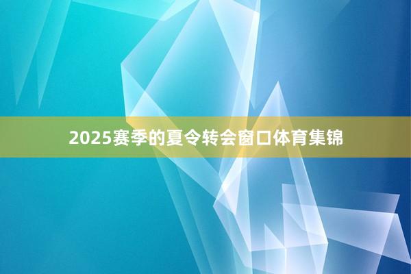 2025赛季的夏令转会窗口体育集锦