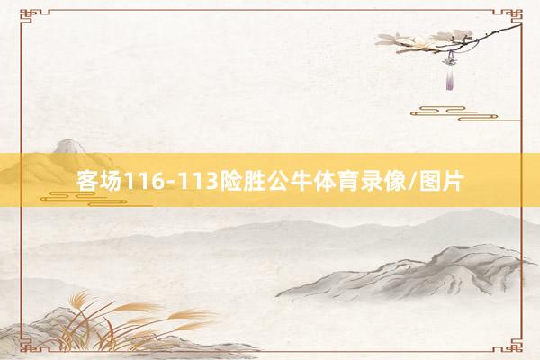 客场116-113险胜公牛体育录像/图片