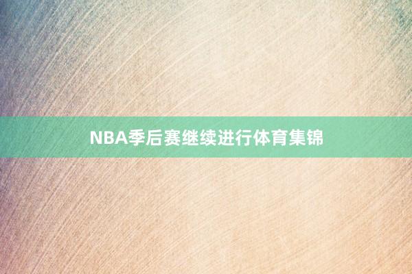 NBA季后赛继续进行体育集锦
