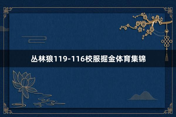 丛林狼119-116校服掘金体育集锦